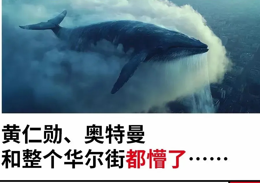 摩纳哥遭遇困境，欲夺胜逆袭的简单介绍