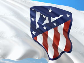 米兰体育app官网入口-皇马逆袭逆袭！在欧冠半决赛中击败曼城晋级决赛！
